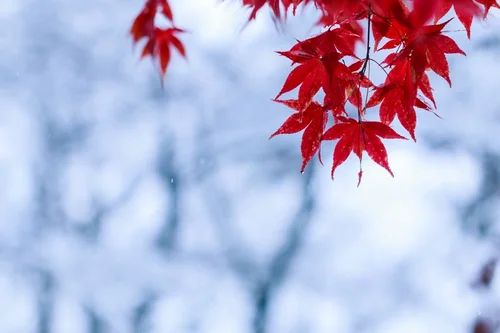 孤独死のあと、 オーナーは「管理会社」を見ています